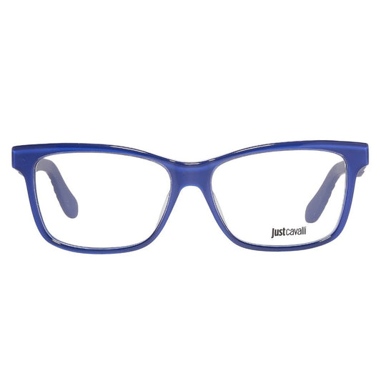 Blue Plastic Glasses (Frames)