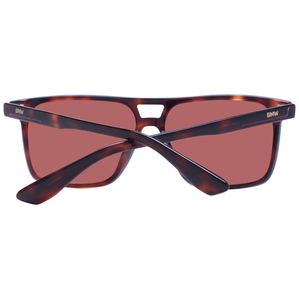 Brown Acetate Sunglasses