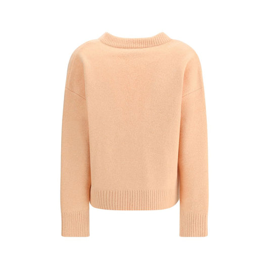 Multicolor Alpaca Vicugna Pacos Cardigan