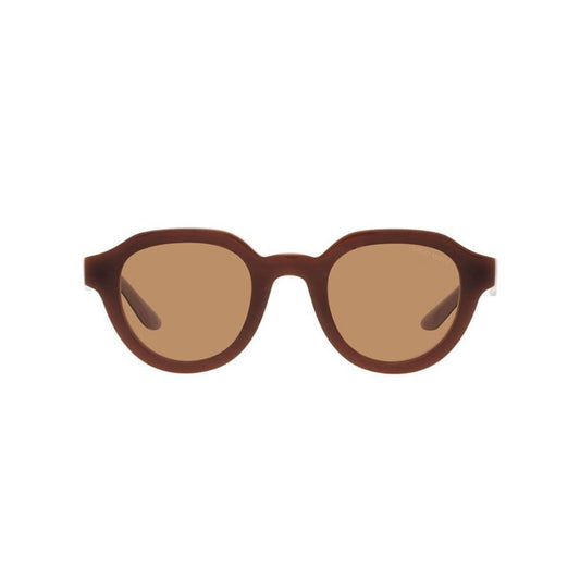 Brown Acetate Sunglasses