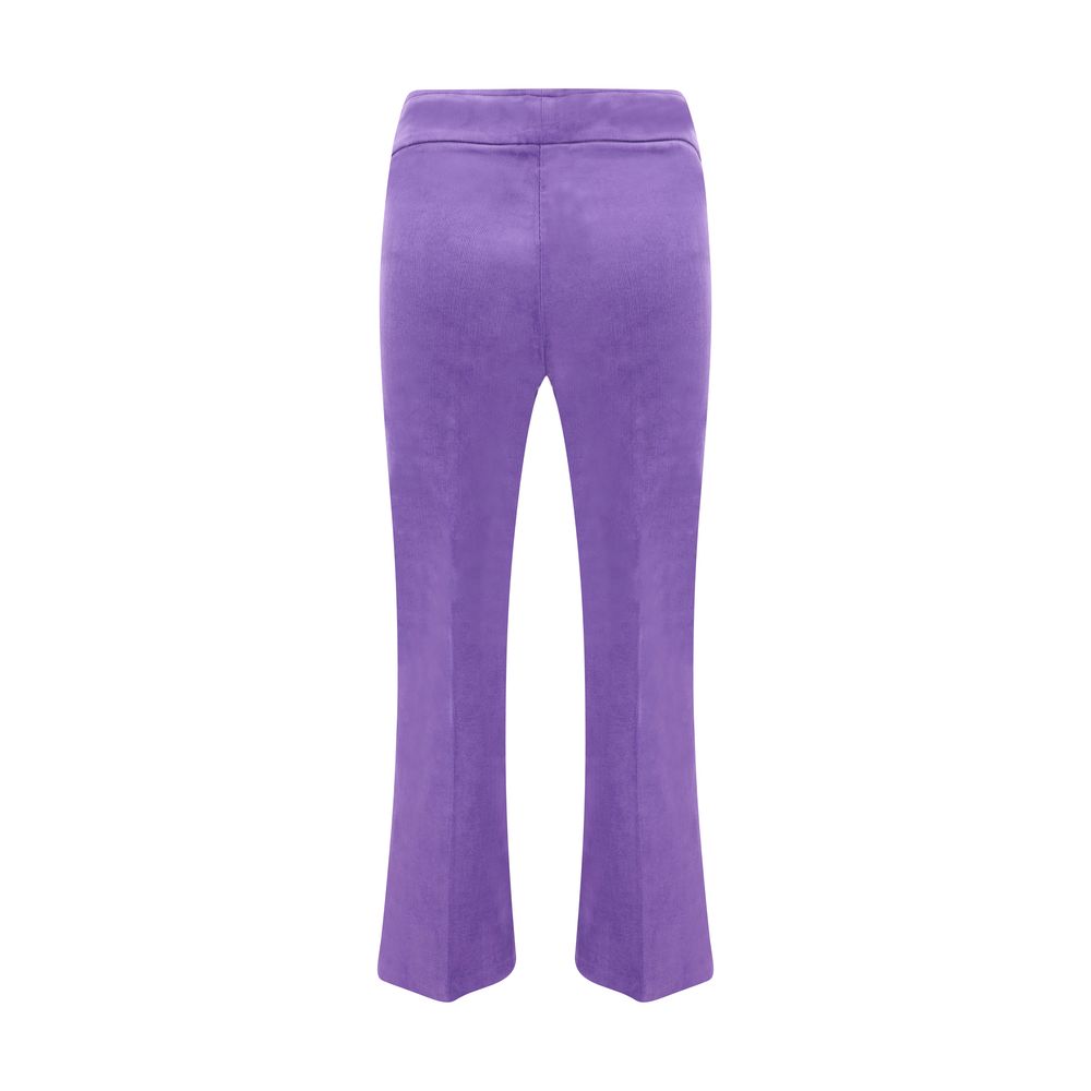 Purple Cotton Casual Pants