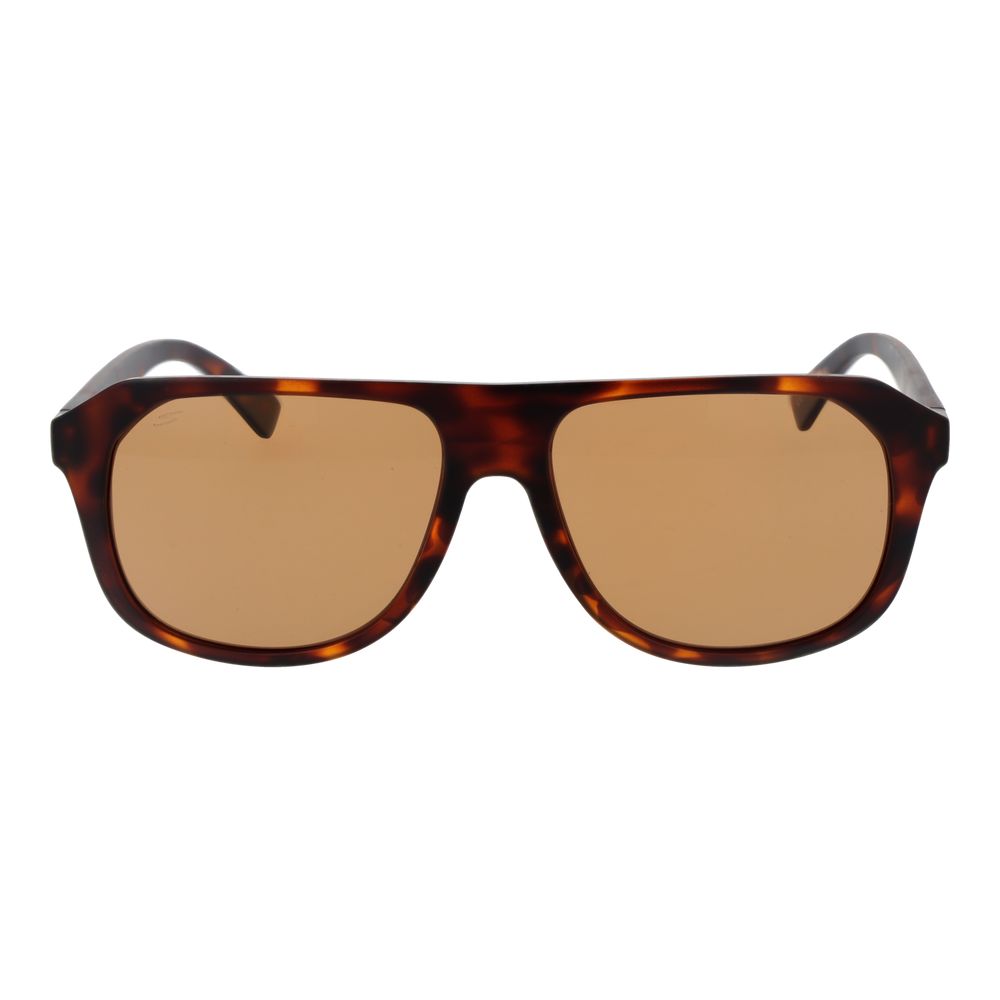 Brown Men Sunglass