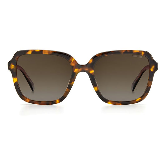 Brown Acetate Sunglasses