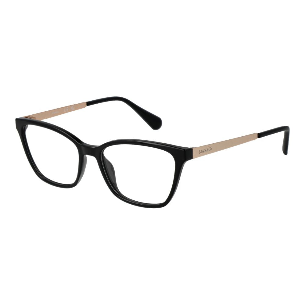 Black Plastic Glasses (Frames)