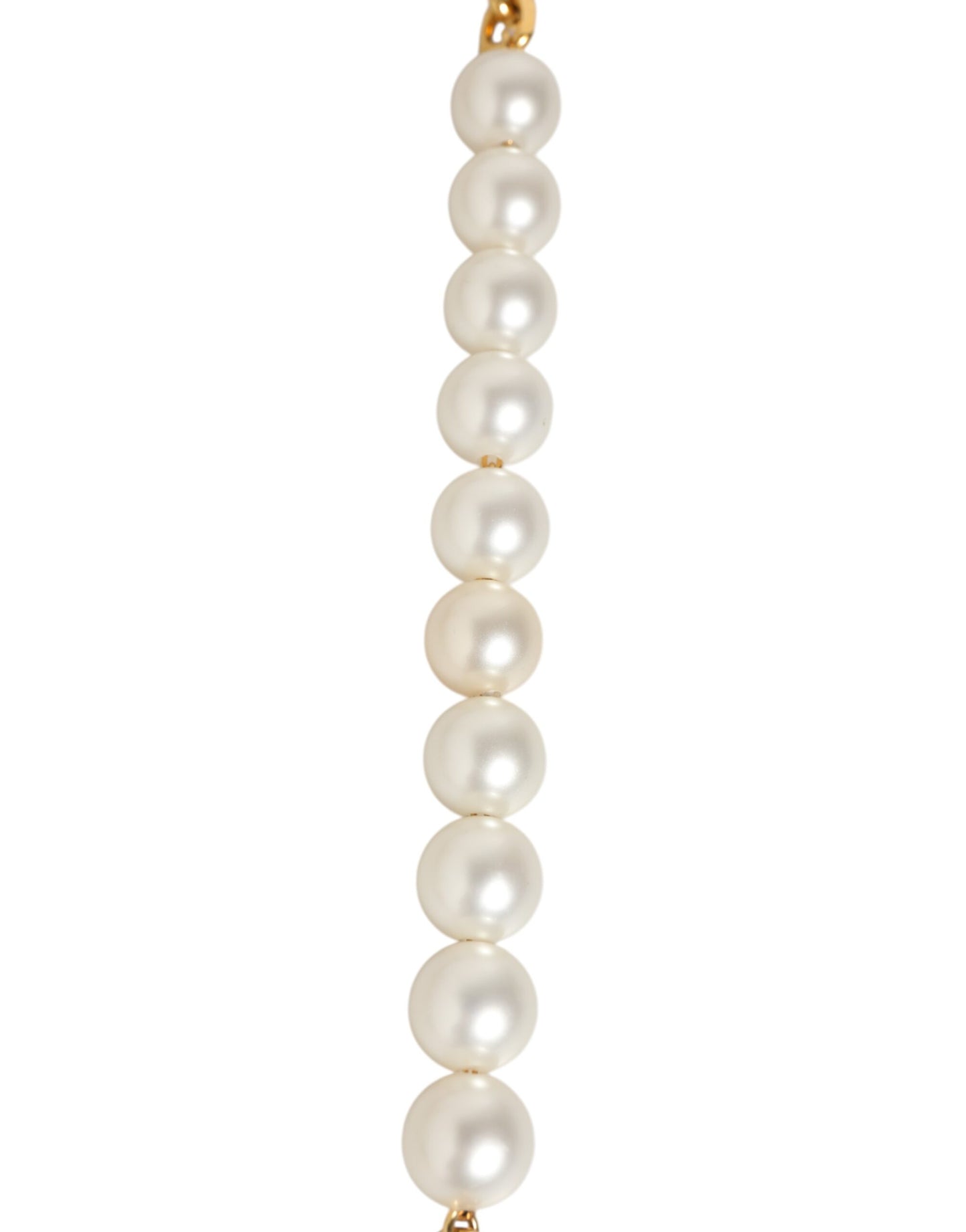 Black Leather Gold Chain Bag Accessory Shoulder Strap