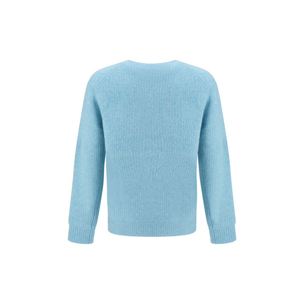 Light Blue Alpaca Vicugna Pacos Sweatshirt