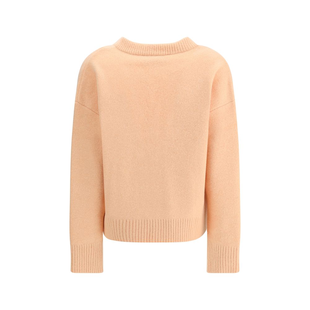 Multicolor Alpaca Vicugna Pacos Cardigan