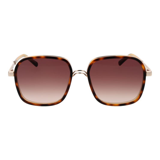 Brown Acetate Sunglasses