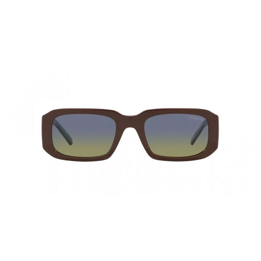 Brown Resin Sunglasses