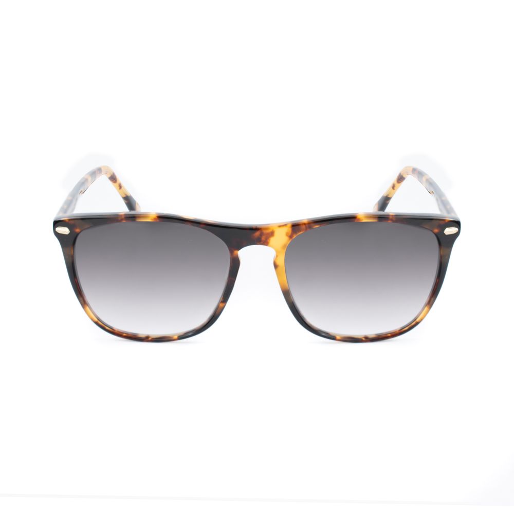 Brown Acetate Sunglasses